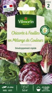 Chicorée à Feuilles en mélange